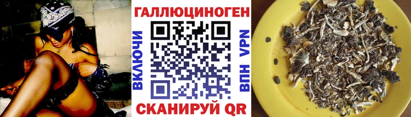 ссылка на мегу как зайти  Гудермес  Псилоцибиновые грибы MAGIC MUSHROOMS 