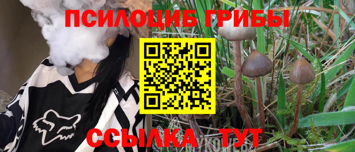 Галлюциногенные грибы мицелий Гудермес