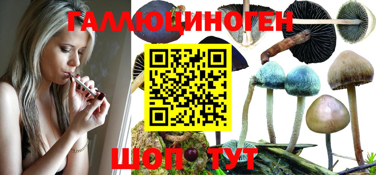 Галлюциногенные грибы MAGIC MUSHROOMS  Гудермес 
