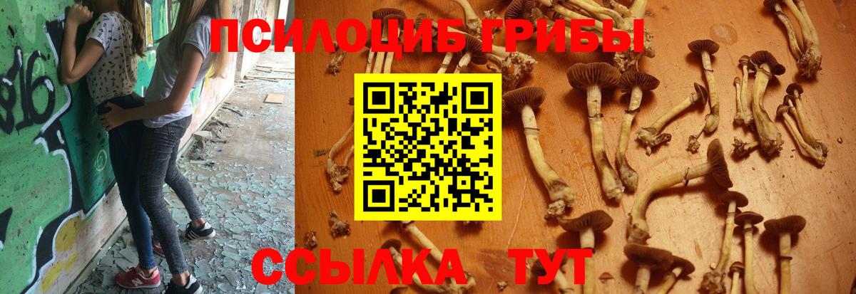 КОКАИН  Гудермес  Вход с VPN  Марихуана  АМФЕТАМИН кристаллы  ГАШИШ  МЕФ кристаллы  Мефедрон 