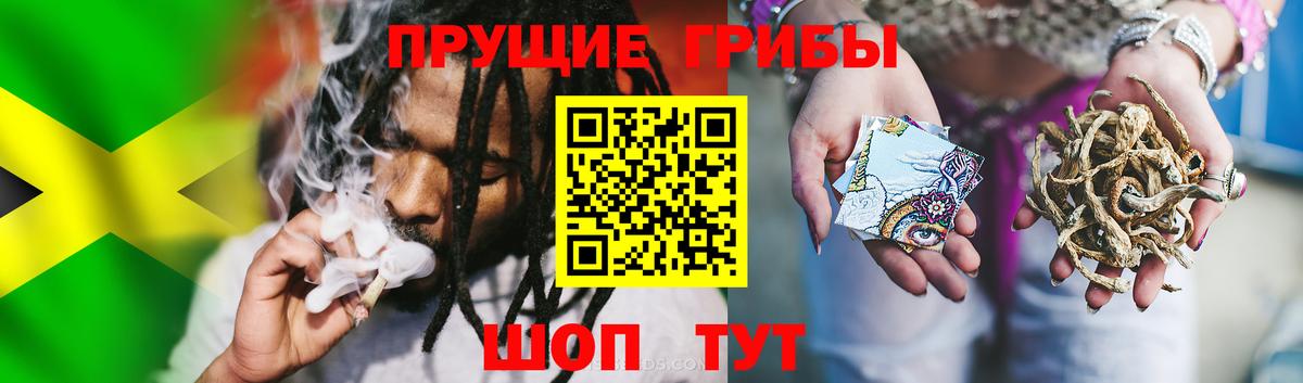 Галлюциногенные грибы мицелий  Вход с VPN  Псилоцибиновые грибы мицелий  Гудермес 